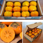 Persimmons Email Photo
